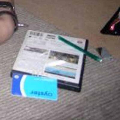 Die neue Kate Moss: Alice Dellals wildes Leben