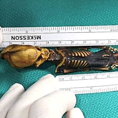 Alien-Skelett entdeckt?