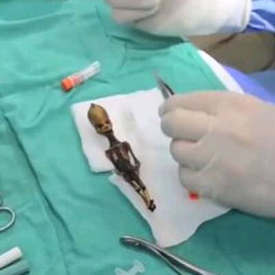 Alien-Skelett entdeckt?