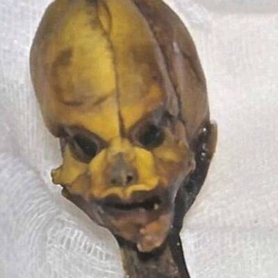 Alien-Skelett entdeckt?