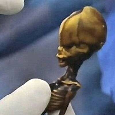 Alien-Skelett entdeckt?