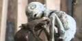 alien_baby