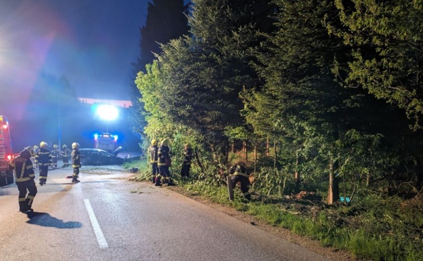 Aloklenkerin Neukirchen