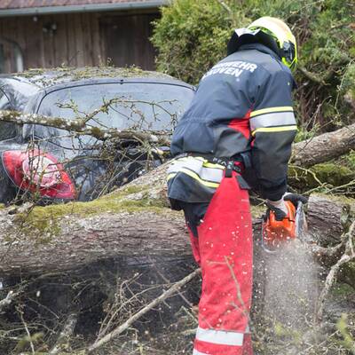 Planenanhänger wurde auf der B17 in Traiskirchen-Möllersdorf auf die Badener Bahn geschleudert
