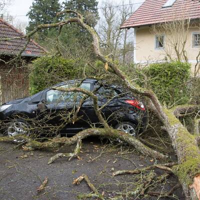 Planenanhänger wurde auf der B17 in Traiskirchen-Möllersdorf auf die Badener Bahn geschleudert
