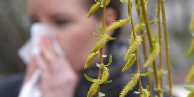 Allergiker leiden unter früher Blüte.