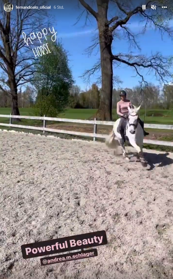 Formel-1-Star Alonso liebt ServusTV-Lady