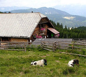 alpanonia2_alpannonia