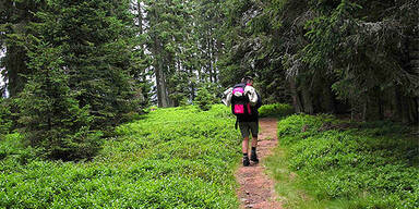 alpanonia_alpannonia