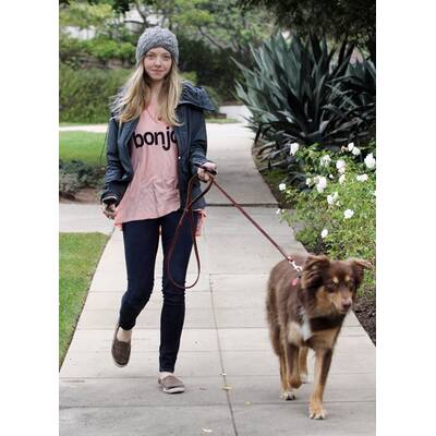 So sehen die Stars beim Gassigehen aus