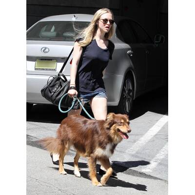 So sehen die Stars beim Gassigehen aus