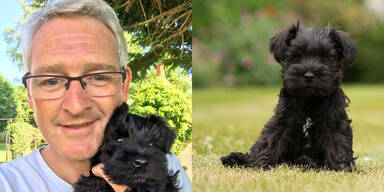 Amazon-Fahrer klaute süßen Zwergschnauzer