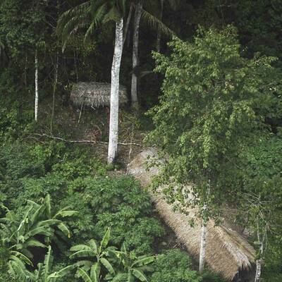 Indios ohne Kontakt zur Zivilisation entdeckt