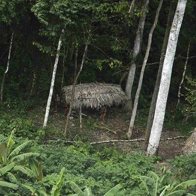 Indios ohne Kontakt zur Zivilisation entdeckt