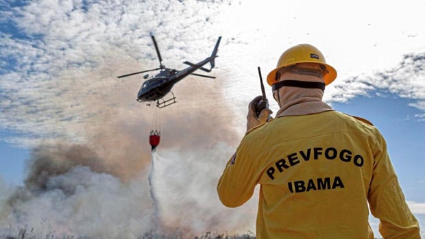 Militäreinsatz zur Brandbekämpfung im Amazonasgebiet läuft an