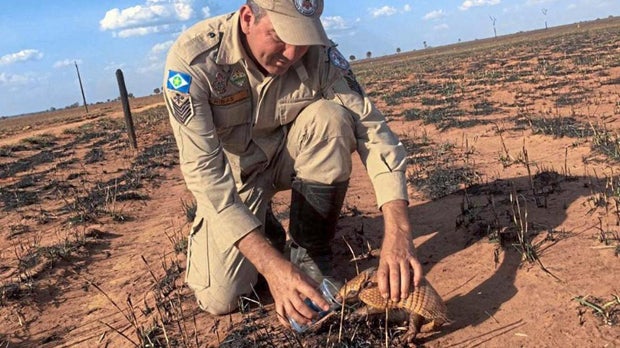 Militäreinsatz zur Brandbekämpfung im Amazonasgebiet läuft an