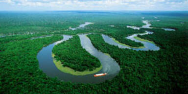 amazonas