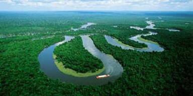amazonas