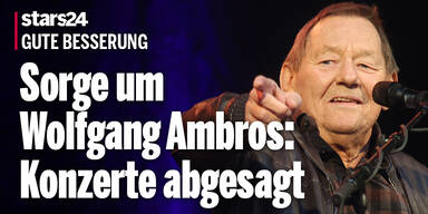 Sorge um Wolfgang Ambros: Konzerte abgesagt