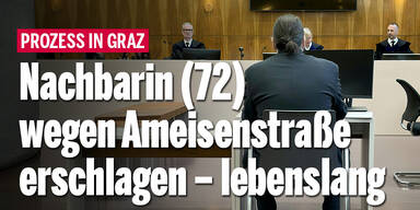 Nachbarin (72) wegen Ameisenstraße erschlagen: lebenslang