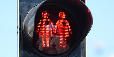 Homo-Ampel-Fans formieren sich im Internet