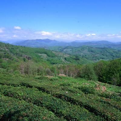 Sahara, Libyen: 4300 Sonnenstunden