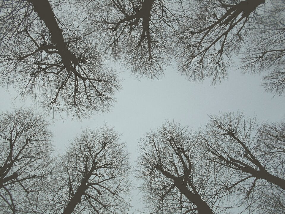 Vitamin-D-Mangel: So erkennen Sie ihn frühzeitig