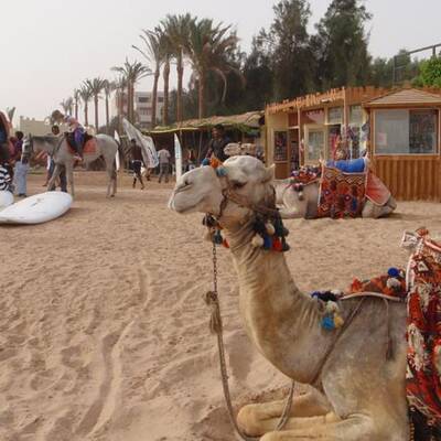 Die schönsten Urlaubsfotos