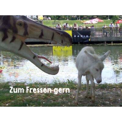 Die neuesten Urlaubsfotos