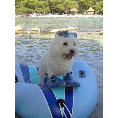 Die neuesten Urlaubsfotos