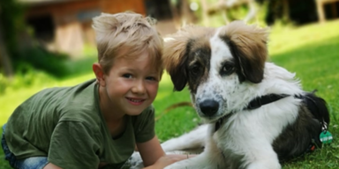 4-beinige Freunde helfen Sorgen zu vergessen