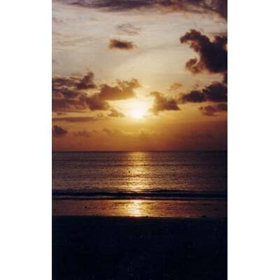 Die romantischsten Fotos