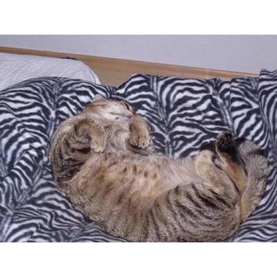 Die besten Urlaubsfotos