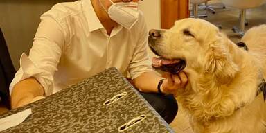 Anschober trauert um seinen Hund ''Agur''