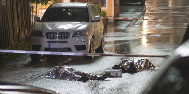 Zwei Tote bei Schießerei in Ansfelden 