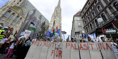 Schreiduelle bei Demos in der Wiener City