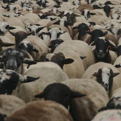 Cape Cod, Massachusetts/USA