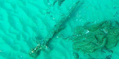 Mann taucht vor K&uuml;ste und macht Sensationsfund