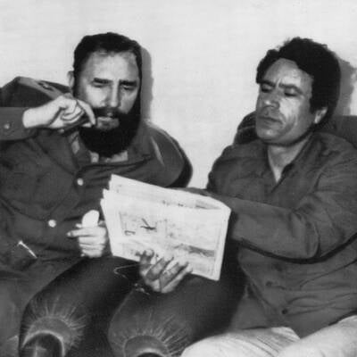 Ein Beduine als Paradiesvogel