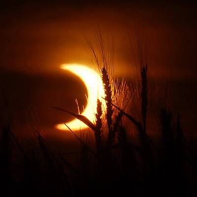 Spektakuläre Sonnenfinsternis in Asien & USA