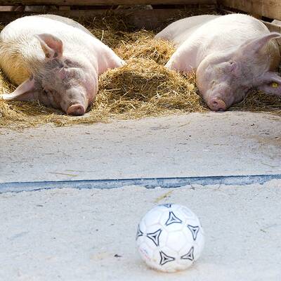 Aufhauser: Mega-Party zum 60er