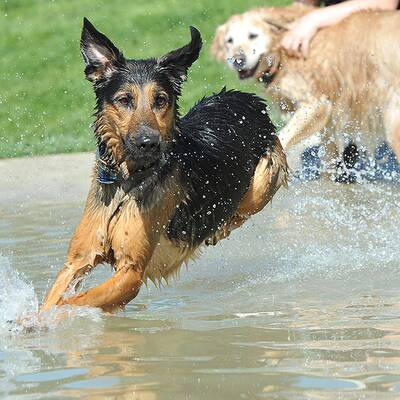 Aufhauser: Mega-Party zum 60er