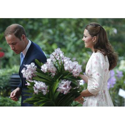 William & Kate verzaubern Singapur