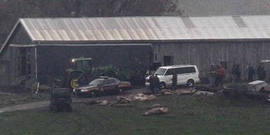 Massaker an Bären und Löwen in den USA