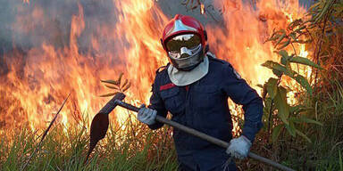 Macrons Appell zu Amazonas-Inferno: "Unser Haus brennt"