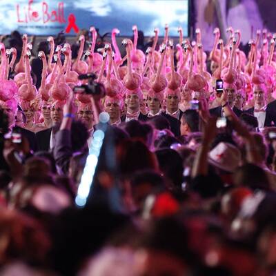 Bilder vom Rathausplatz