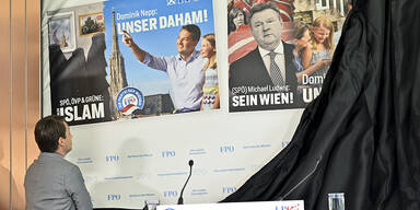 FP&Ouml;-Plakate: Nepp setzt auf "Unser Daham"