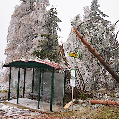 Waidhofen an der Thaya, NÖ