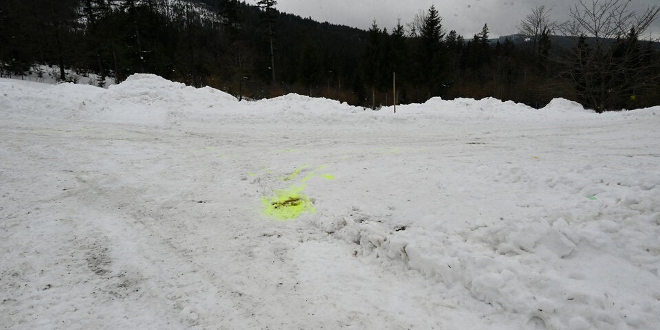 Frau mit Schnee-Stange erschlagen: 18-Jähriger gesteht Mord