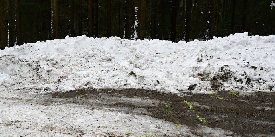 Frau mit Schnee-Stange erschlagen: 18-Jähriger gesteht Mord